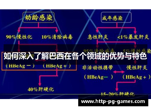如何深入了解巴西在各个领域的优势与特色